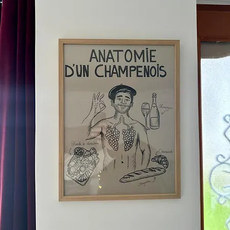 Maison De Champenoise Appartement Épernay